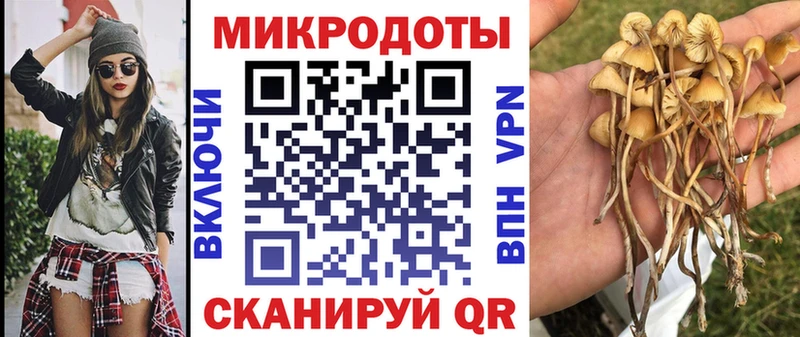 Псилоцибиновые грибы GOLDEN TEACHER  наркотики  Шадринск 