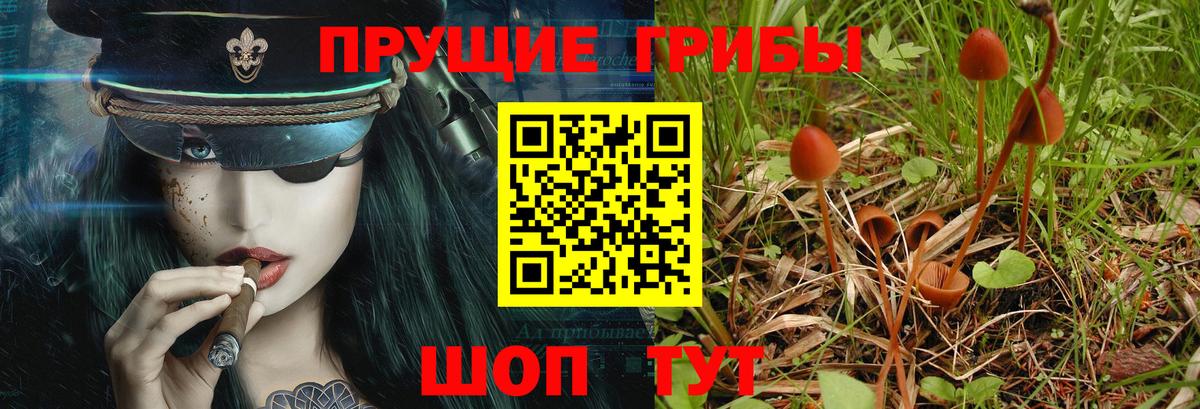 Галлюциногенные грибы MAGIC MUSHROOMS Шадринск