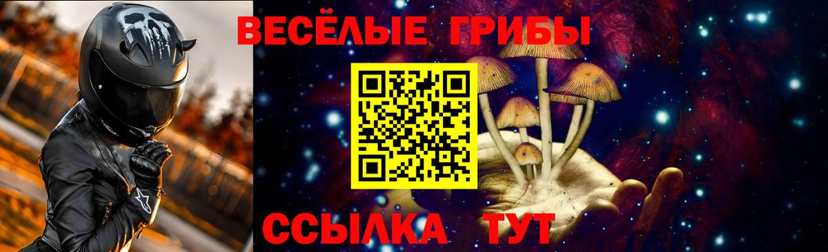 Галлюциногенные грибы MAGIC MUSHROOMS  Вход с VPN  Шадринск 